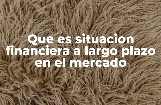 Que es Situacion Financiera a Largo Plazo en el Mercado
