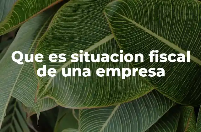 Que es Situacion Fiscal de una Empresa