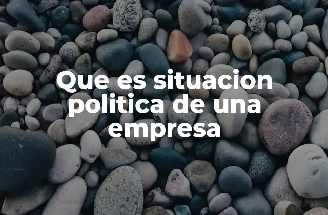 Factores que definen la situación política de una empresa