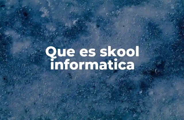 Que es Skool Informatica