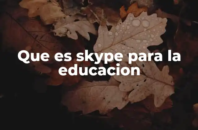 La integración de Skype en el entorno escolar