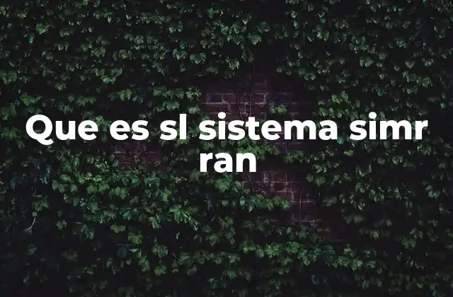 Cómo funciona el sistema SIMR-RAN