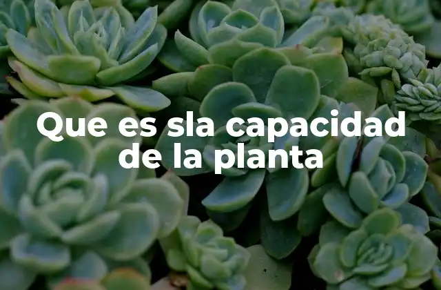 Que es Sla Capacidad de la Planta