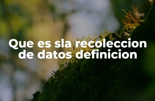 Que es Sla Recoleccion de Datos Definicion