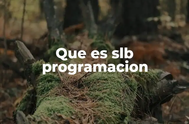 Que es Slb Programacion