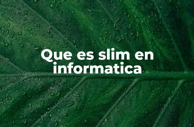 Que es Slim en Informatica