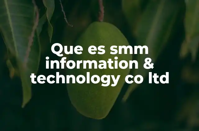 Que es Smm Information & Technology Co Ltd 2 El papel de SMM en el marketing digital moderno