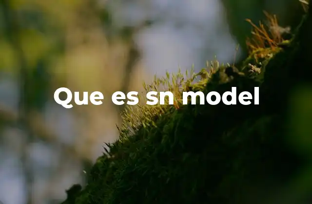 Que es Sn Model