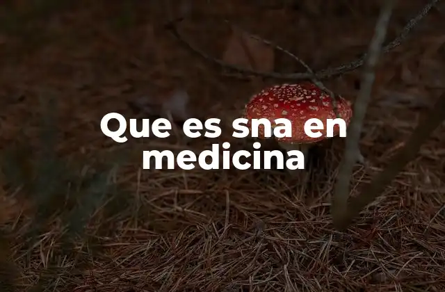 Que es Sna en Medicina