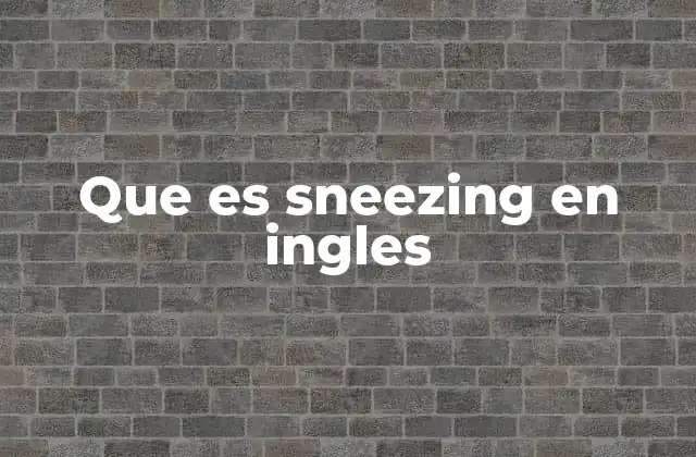 Que es Sneezing en Ingles 2 El papel del estornudo en la salud y la comunicación