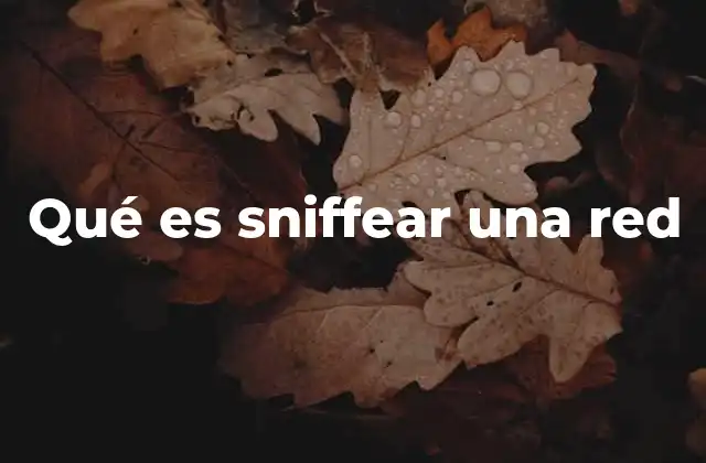 Qué es Sniffear una Red