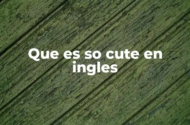 Que es so Cute en Ingles