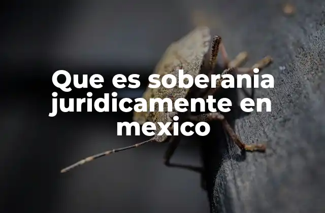 Que es Soberania Juridicamente en Mexico