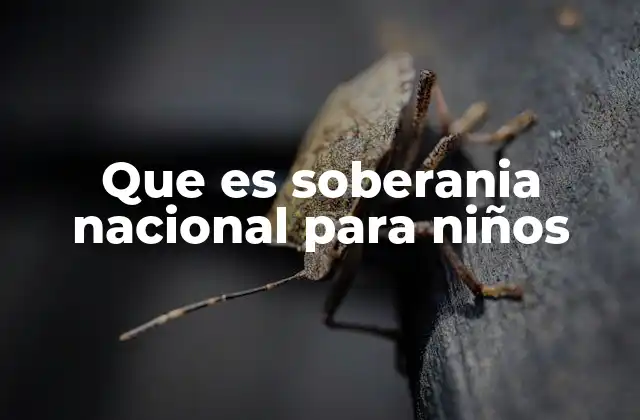 Que es Soberania Nacional para Niños