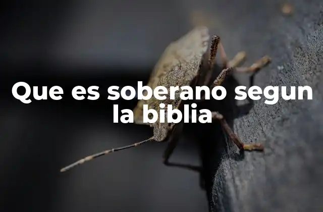 Que es Soberano Segun la Biblia