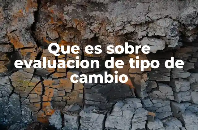 Que es sobre Evaluacion de Tipo de Cambio 2 La importancia del análisis del tipo de cambio en contextos internacionales