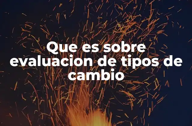 Factores que influyen en la fluctuación del valor de las monedas