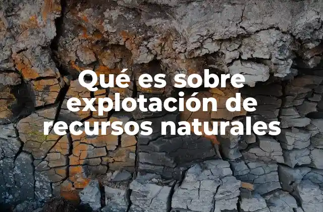 El impacto de la extracción de recursos en el entorno