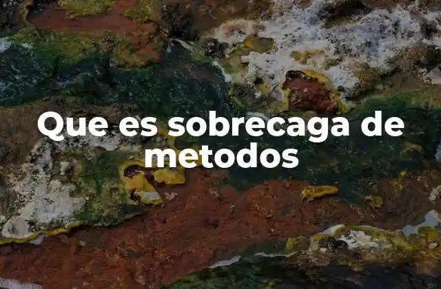 Que es Sobrecaga de Metodos