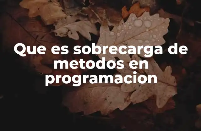 Que es Sobrecarga de Metodos en Programacion