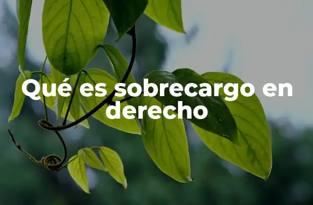 Qué es Sobrecargo en Derecho
