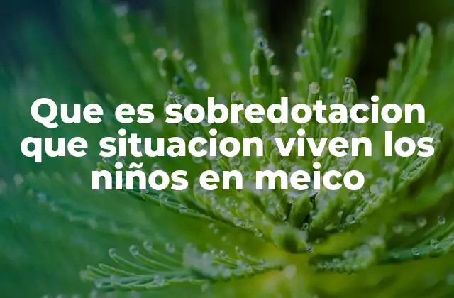Las realidades escolares de los niños sobredotados en México