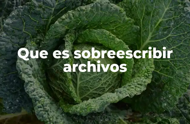 Que es Sobreescribir Archivos 2 Cómo el sistema operativo gestiona el sobrescritura de archivos