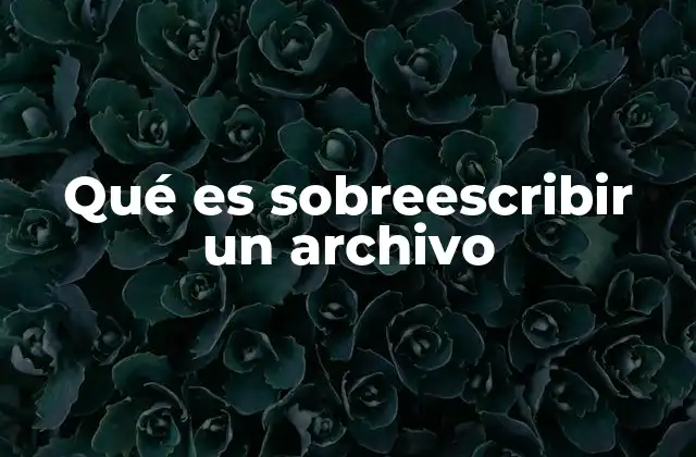 Qué es Sobreescribir un Archivo