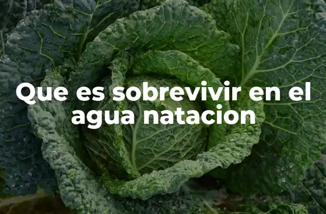 Que es Sobrevivir en el Agua Natacion