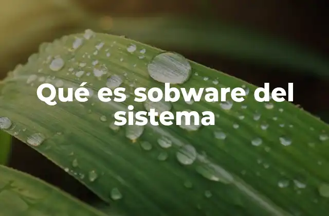 Qué es Sobware Del Sistema