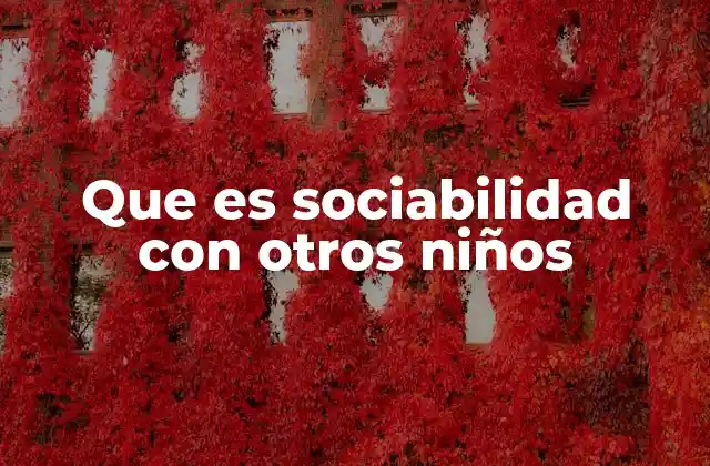 Que es Sociabilidad con Otros Niños