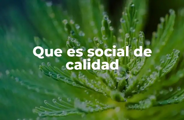 Que es Social de Calidad