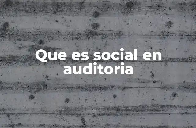 Que es Social en Auditoria