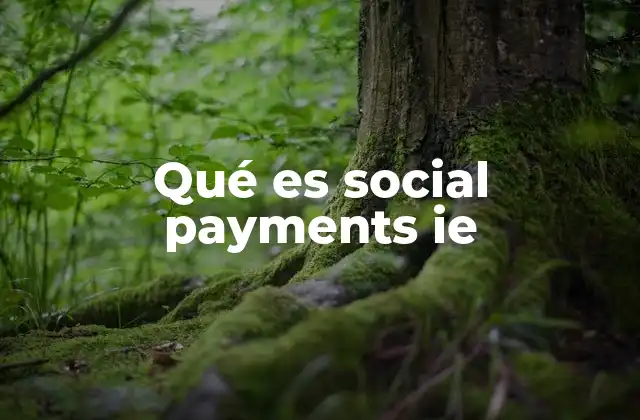 Qué es Social Payments Ie