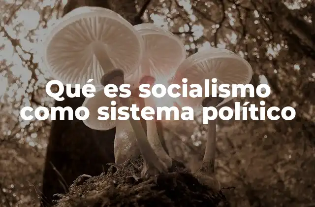 Qué es Socialismo como Sistema Político