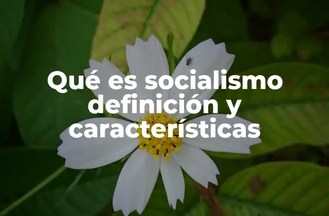 Qué es Socialismo Definición y Características