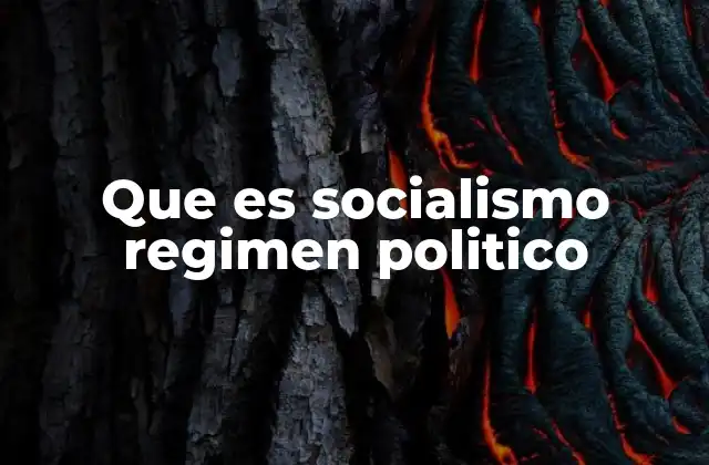 Que es Socialismo Regimen Politico