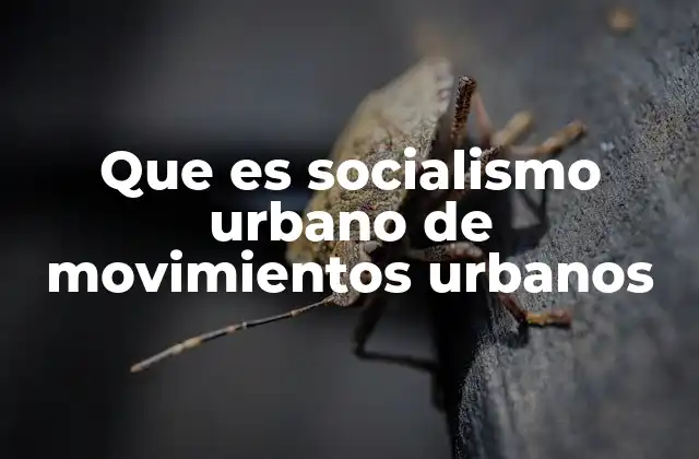 Que es Socialismo Urbano de Movimientos Urbanos