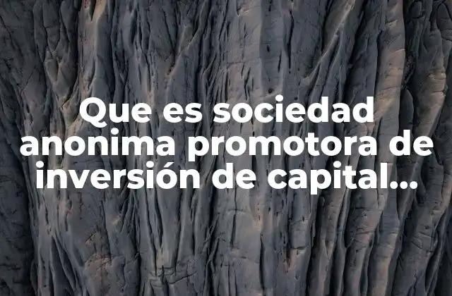 Que es Sociedad Anonima Promotora de Inversión de Capital Variable 2 Características principales de las sociedades promotoras de inversión