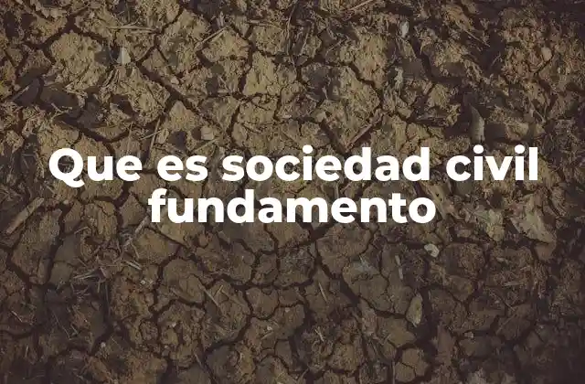 Que es Sociedad Civil Fundamento 2 El papel de las organizaciones en la sociedad civil