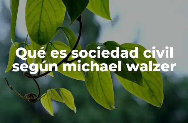 Qué es Sociedad Civil según Michael Walzer