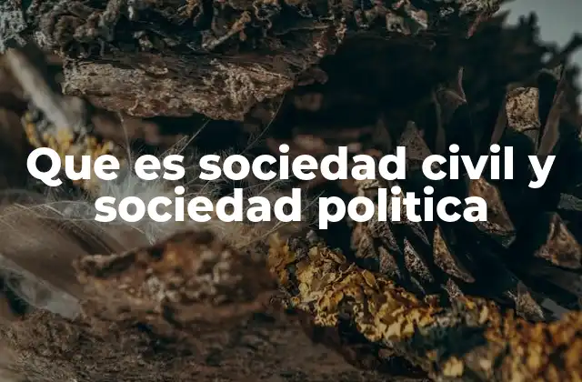 Que es Sociedad Civil y Sociedad Politica