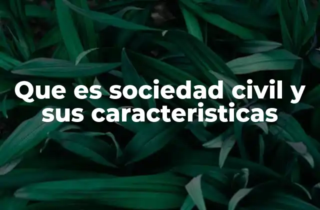 El rol de la sociedad civil en la democracia
