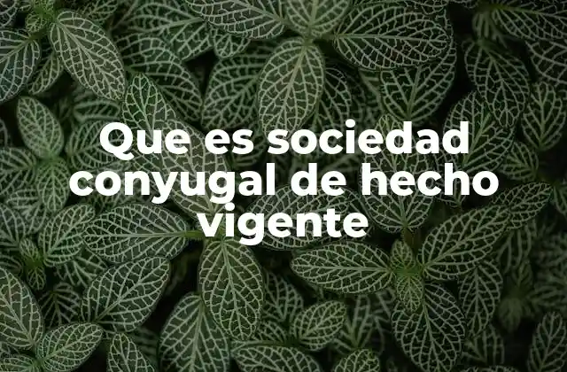 Que es Sociedad Conyugal de Hecho Vigente