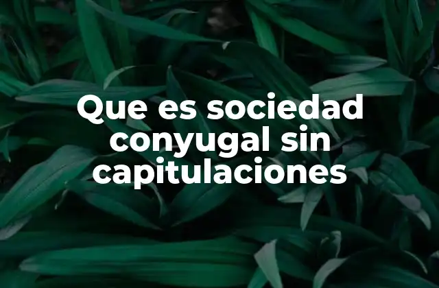 Que es Sociedad Conyugal sin Capitulaciones 2 ¿Cómo funciona el régimen de sociedad conyugal?