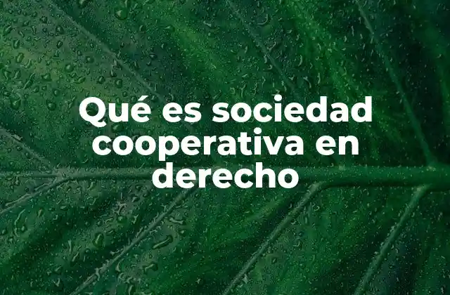 Qué es Sociedad Cooperativa en Derecho