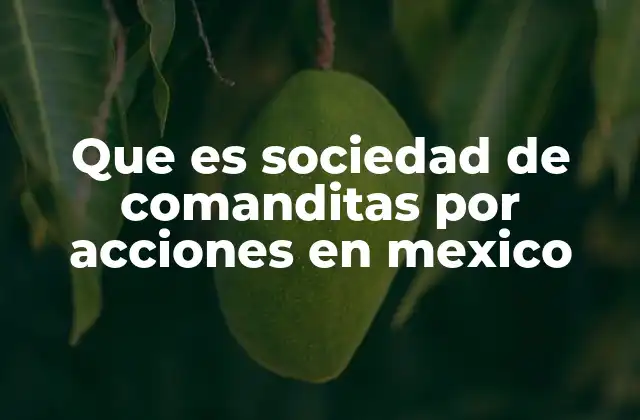 Que es Sociedad de Comanditas por Acciones en Mexico
