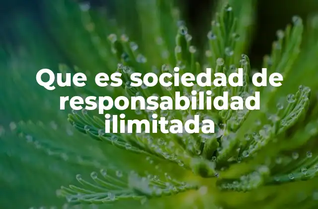 Que es Sociedad de Responsabilidad Ilimitada