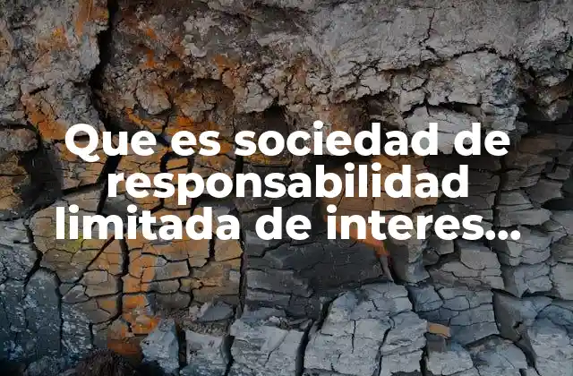 Que es Sociedad de Responsabilidad Limitada de Interes Público