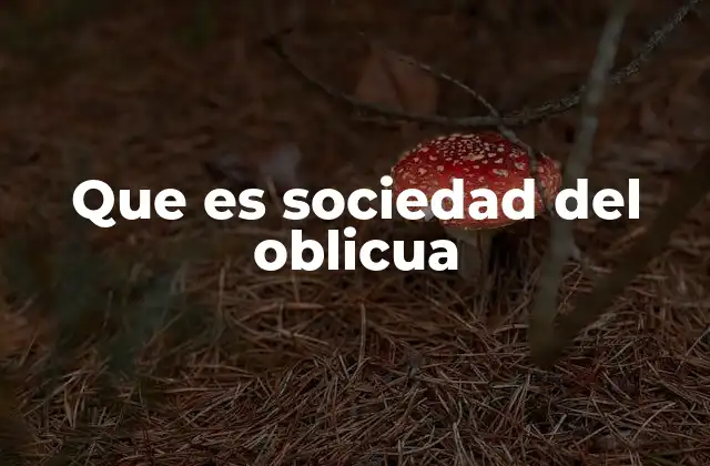 Que es Sociedad Del Oblicua